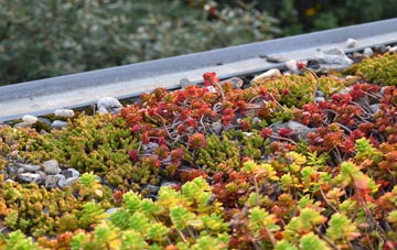 the cost of Melbury Sampford green roof installation