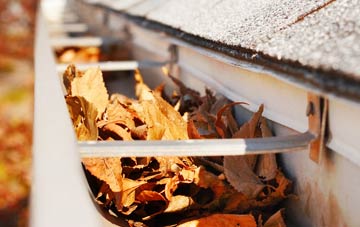 Melbury Sampford gutter cleaning companies