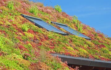 Melbury Sampford living roof systems