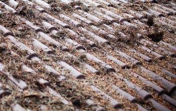 Melbury Sampford roof cleaning companies