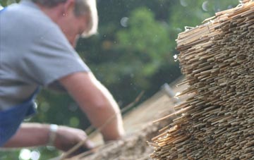 professional Melbury Sampford thatchers