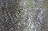 Melbury Sampford fibreglass roof work